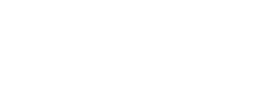 Seiden Legal Group